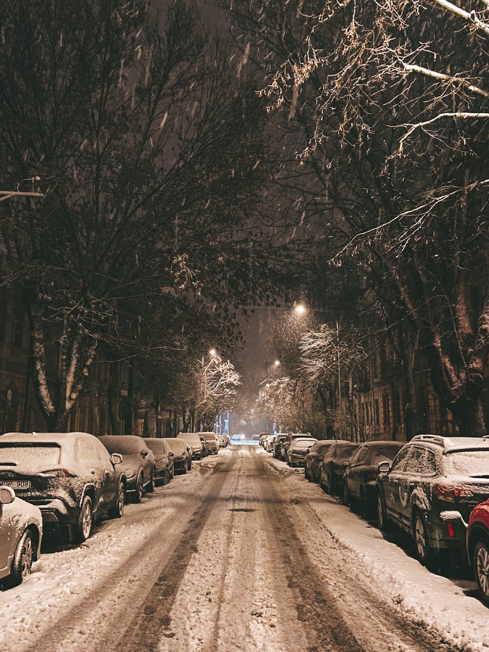 parked cars covered in snow