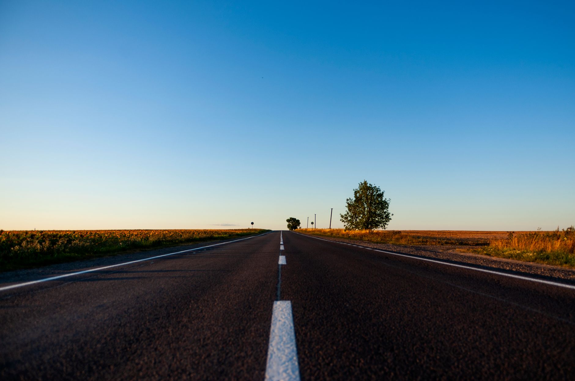 lonely road at sunset in ukrainian countryside